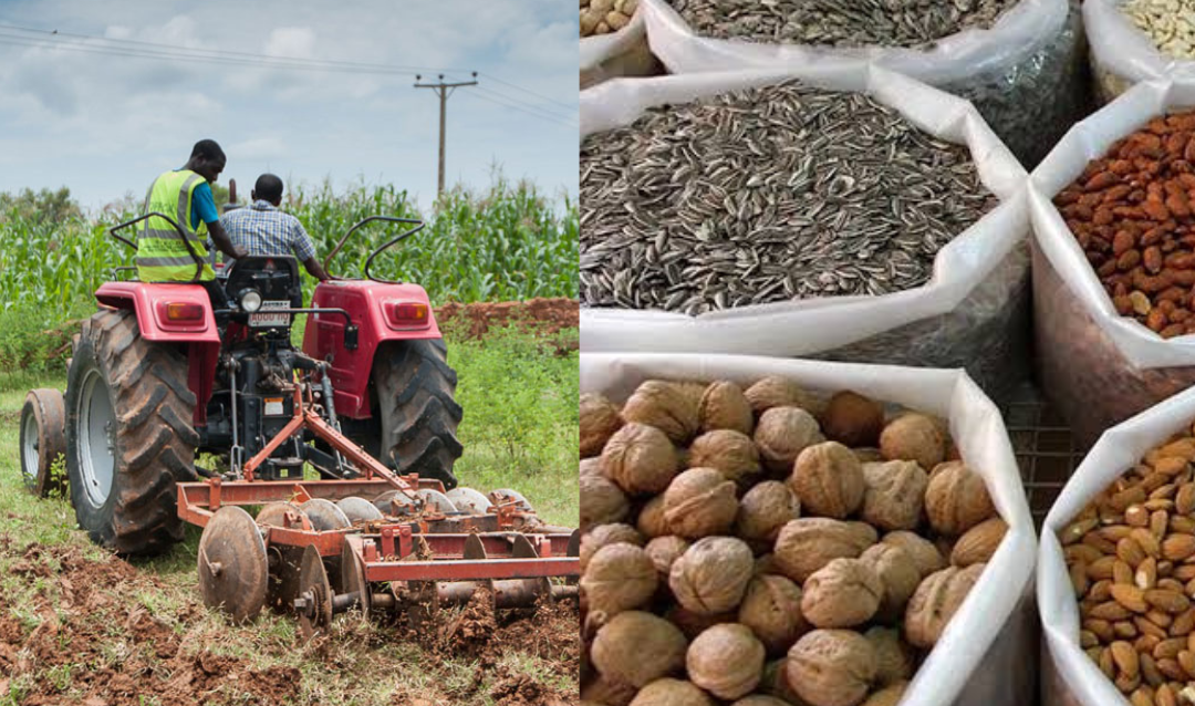 Nigeria’s raw commodity exports will be under focus as agribusiness leaders meet in Uyo