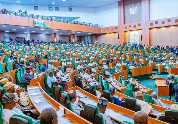 Reps threaten sanctions against institutions violating NELFUND rules