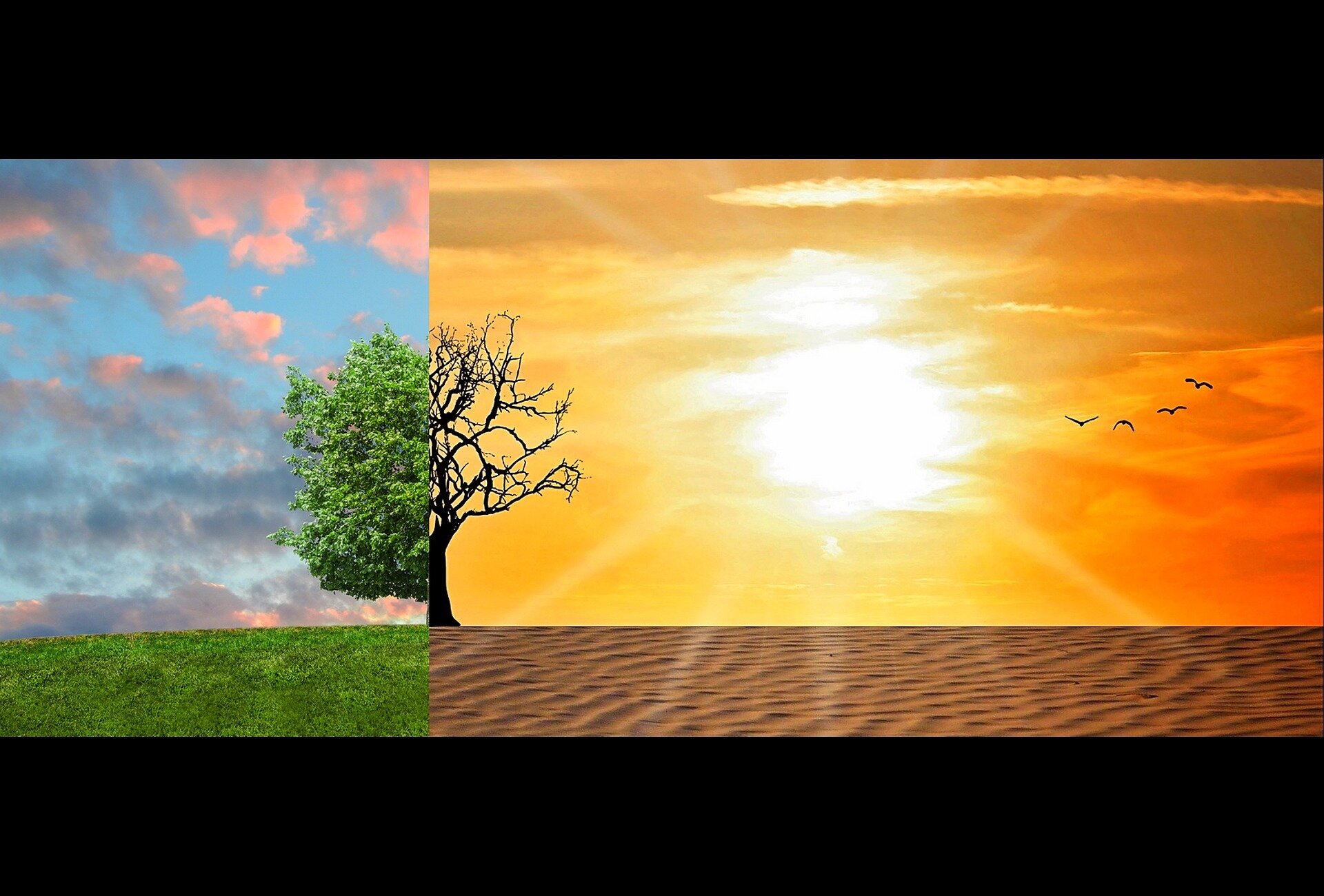 Unaccounted climate feedback loops may amplify warming by 20–30% this century, but cutting emissions will reduce risks