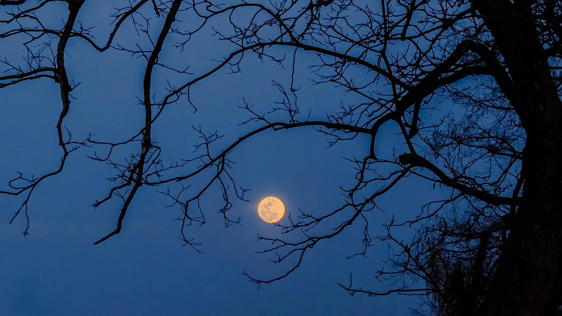 October’s night sky is full of cosmic tricks and treats